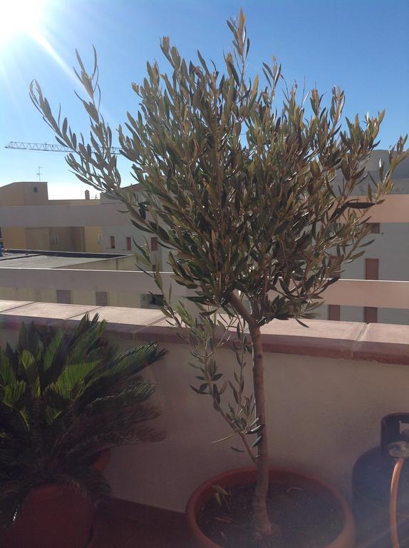 Villamari Apartment Alghero Eksteriør bilde